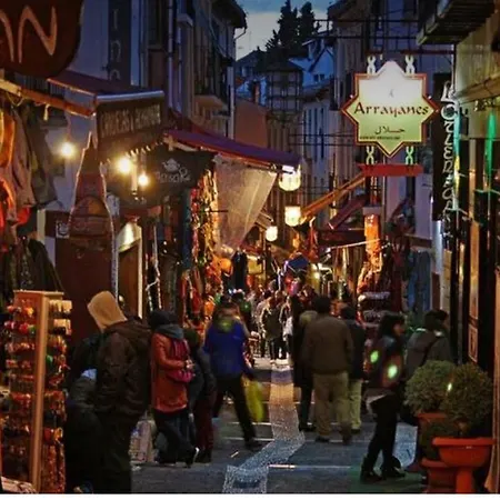 Loft Wifi Centro Espectacular Terraza Con Todos Servicios Apartamento Granada