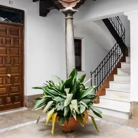 Loft Wifi Centro Espectacular Terraza Con Todos Servicios Apartamento Granada