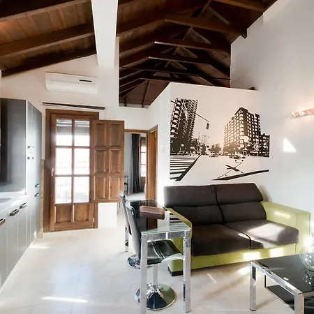 Loft Wifi Centro Espectacular Terraza Con Todos Servicios Granada