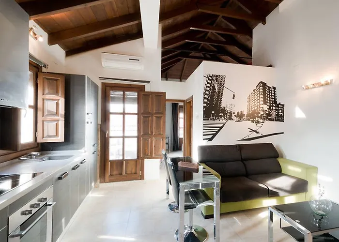Loft Wifi Centro Espectacular Terraza Con Todos Servicios * 格拉纳达
